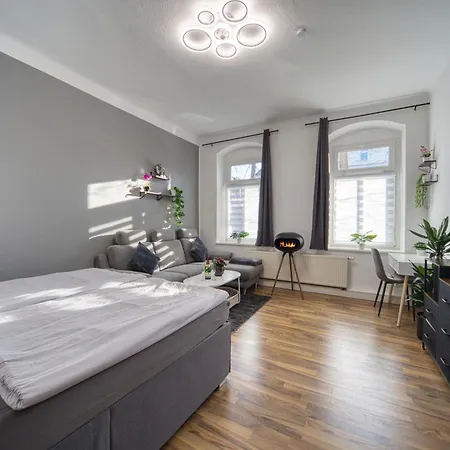 Dresdenstay Blasewitz 3 Schlafzimmer Kamin Ps4 * Dresde