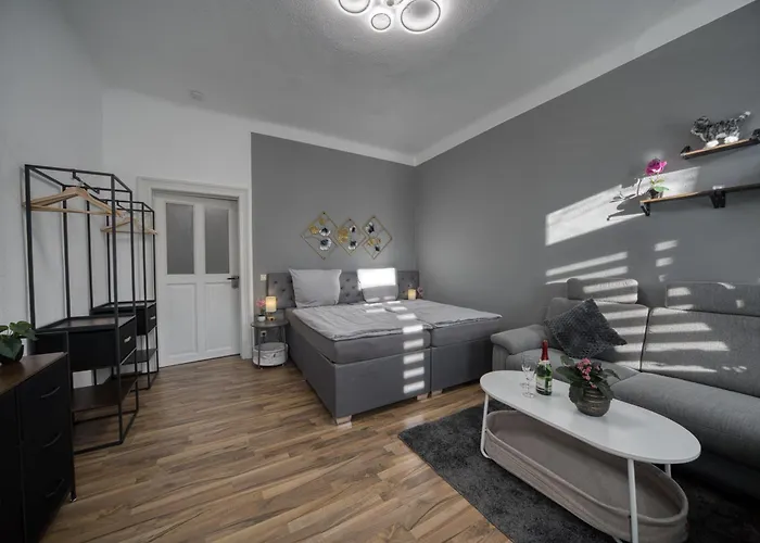 Appartement Dresdenstay Blasewitz 3 Schlafzimmer Kamin Ps4 *