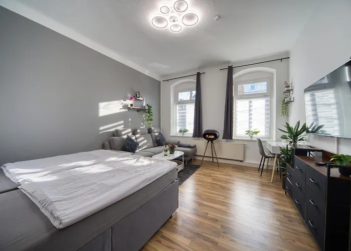 Dresdenstay Blasewitz 3 Schlafzimmer Kamin Ps4 * ドレスデン
