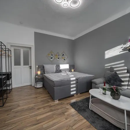 דירה Dresdenstay Blasewitz 3 Schlafzimmer Kamin Ps4 *