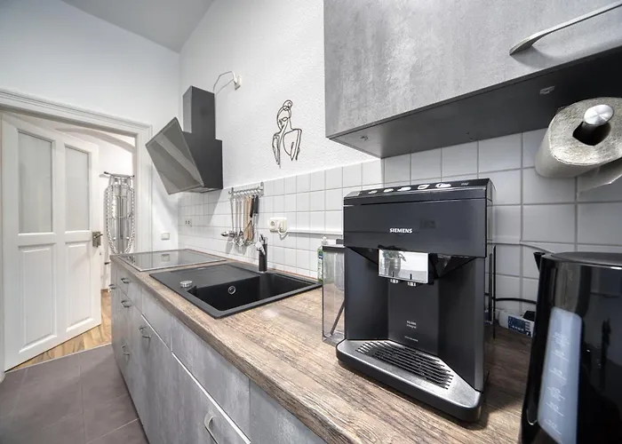 Apartment Dresdenstay Blasewitz 3 Schlafzimmer Kamin Ps4 Dresden